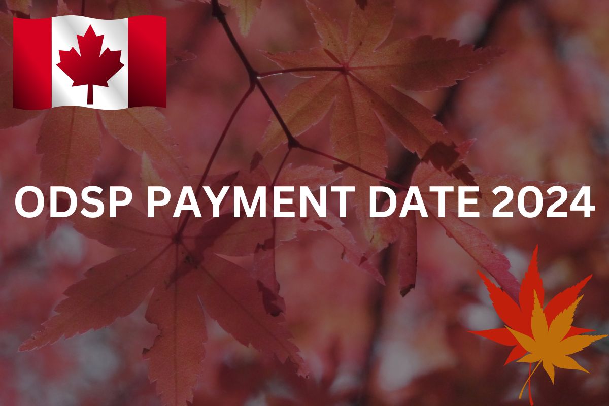 ODSP Payment Date 2024 Amount, Benefits By ontario.ca Check