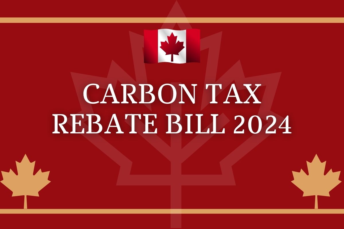 Mable Alexander Buzz Carbon Tax Rebate 2024 When Will It Be Paid