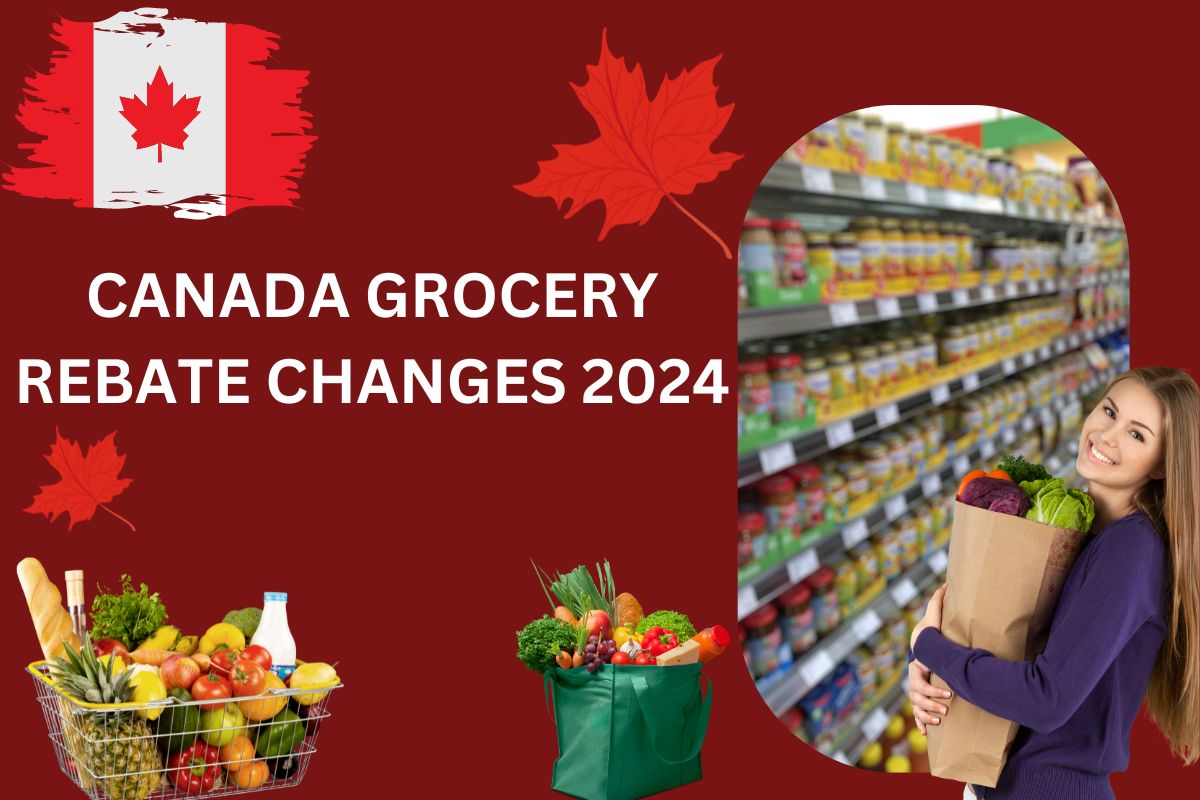 628 Canada Grocery Rebate Changes 2025 Know Eligibility & Date